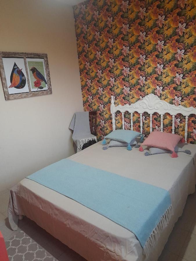 Hostel Katsbarnea *