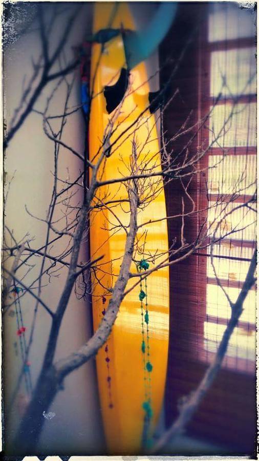 Hostel Katsbarnea *